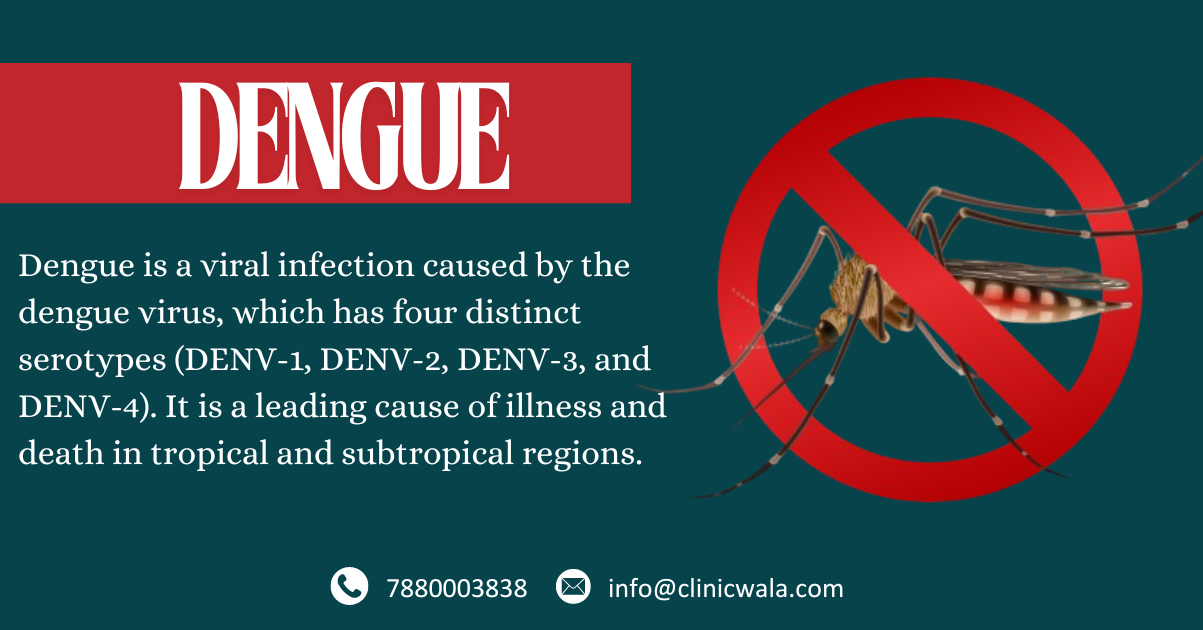 Dengue Fever: Causes, Symptoms, Effects and Effective Prevention Measures